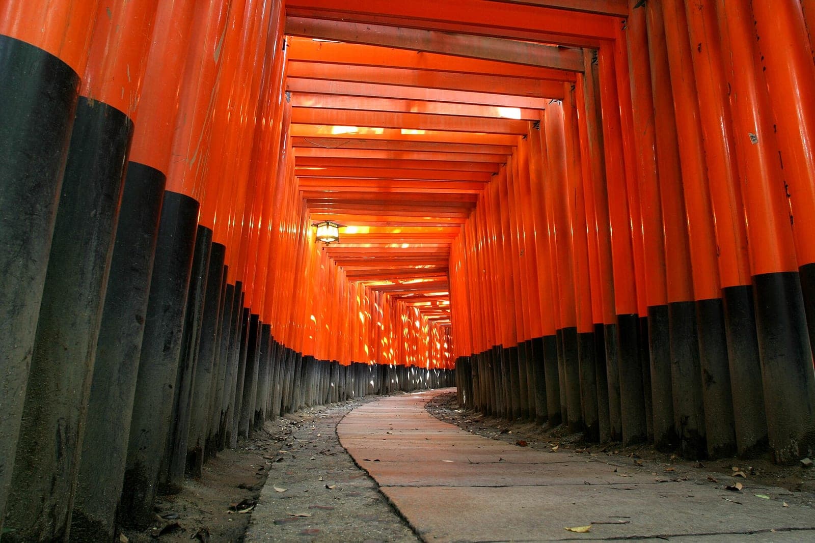 Vermilion torii at Fushimi Inari