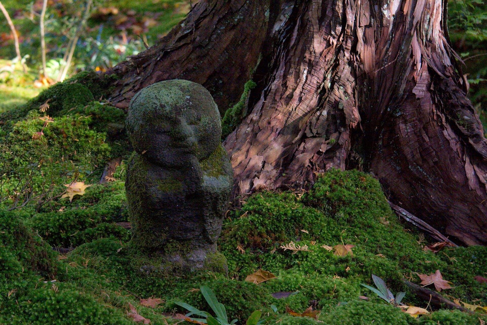 Autumn scenery at Sanzen-in in Ohara