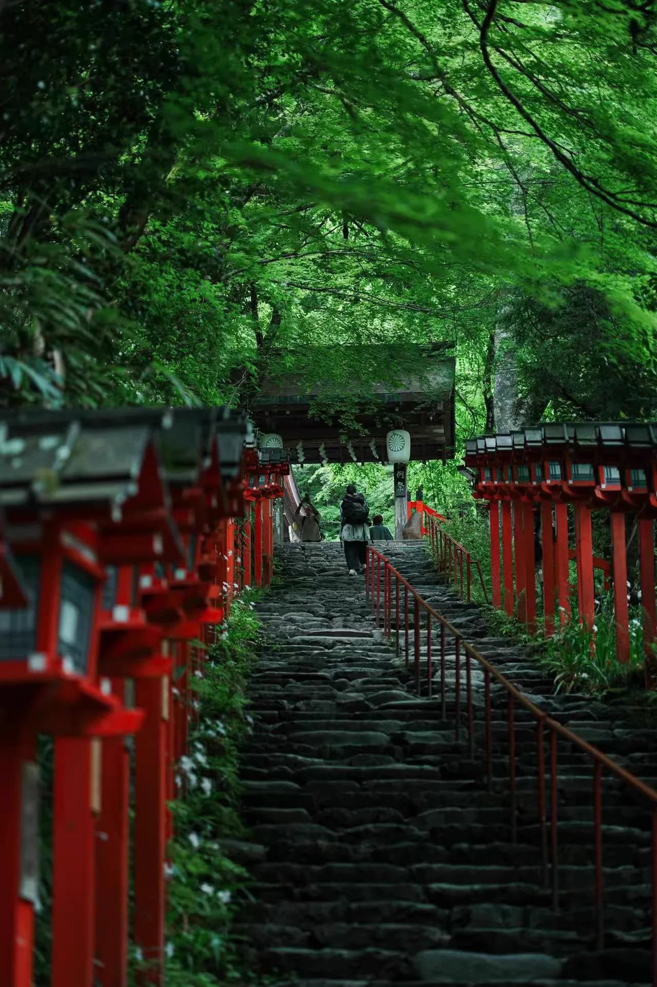 Sanzen-in, Ruriko-in & Kifune One-Day Route 5